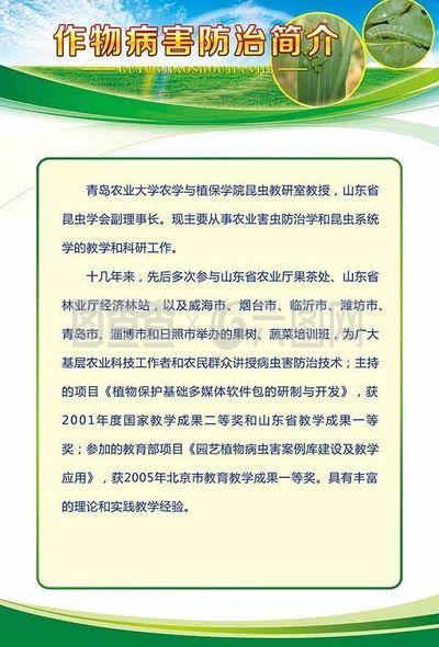 展板設(shè)計(jì)模板 昆蟲(chóng)防圖片