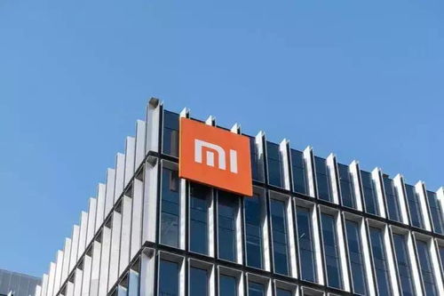 雷軍all in 造車(chē)